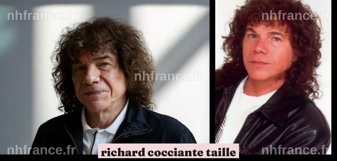 Richard Cocciante en concert