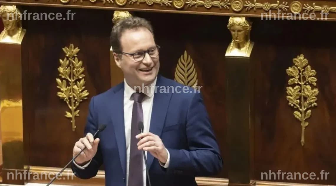 Sylvain Maillard à l'Assemblée nationale