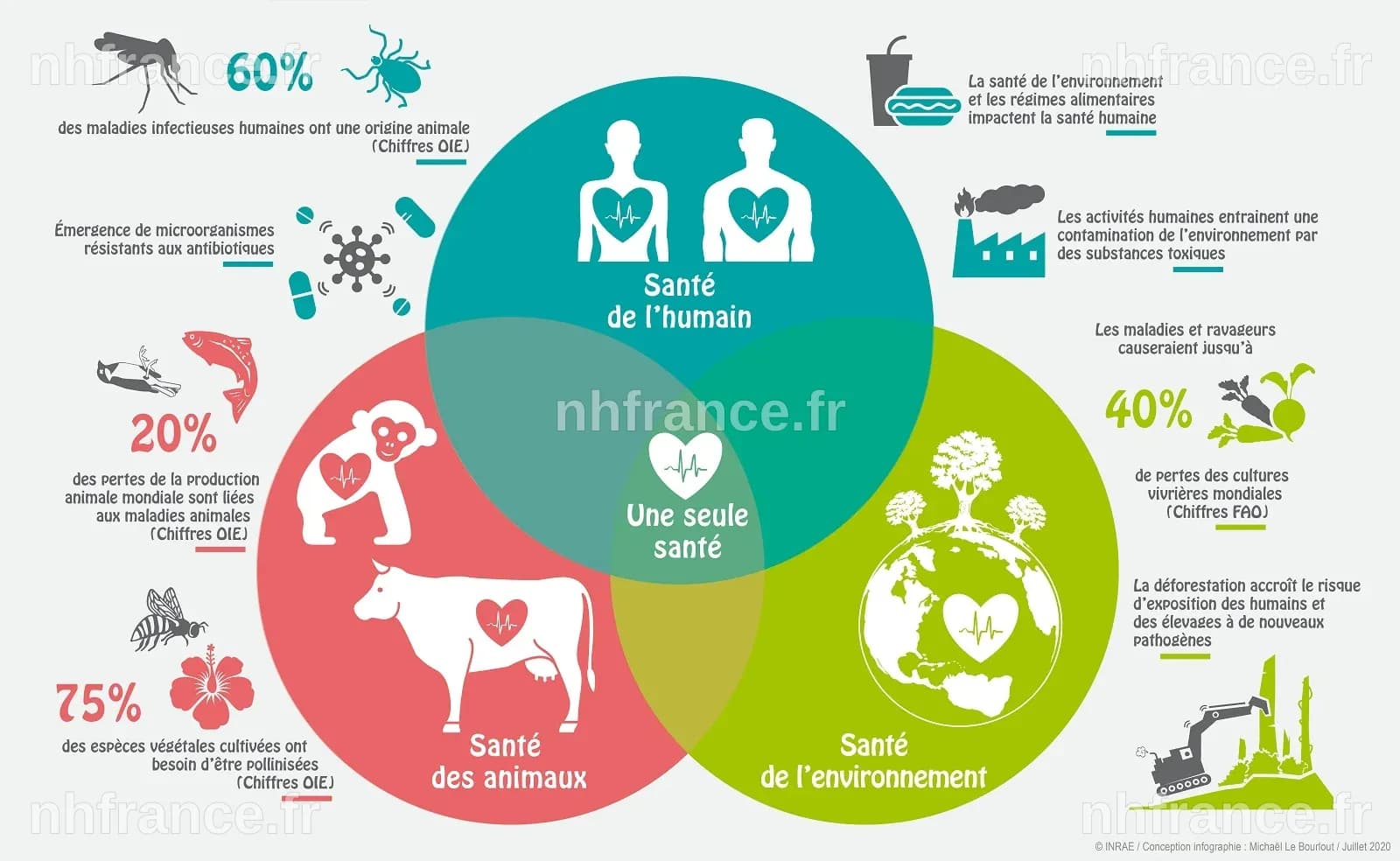 Une Seule Santé : Réinventer la Santé de Demain