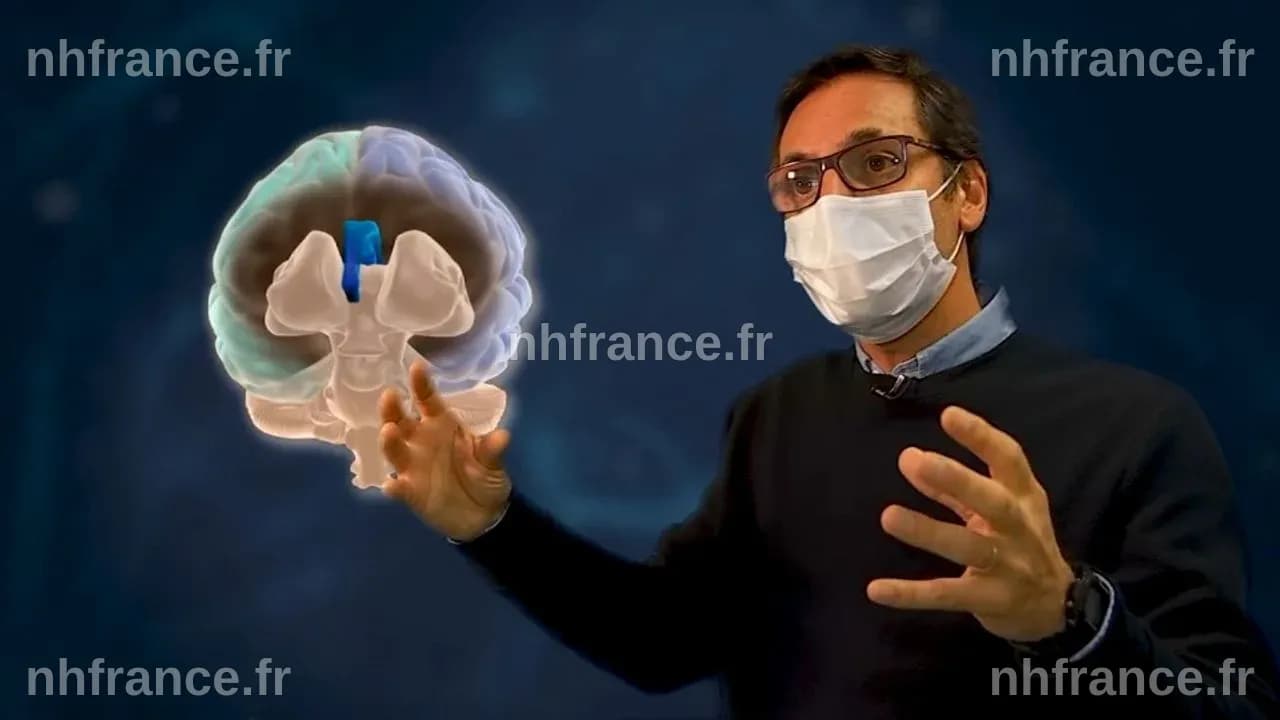 Les Gauchers : Une Énigme Évolutive Dévoilée par la Science