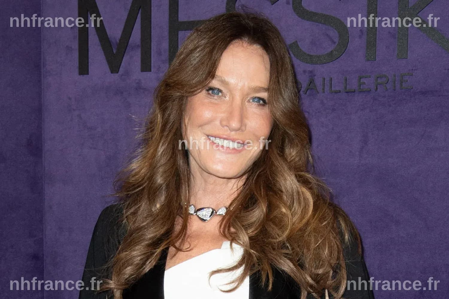 Carla Bruni : Une Femme d'Affaires au Succès Éclatant et Innovant