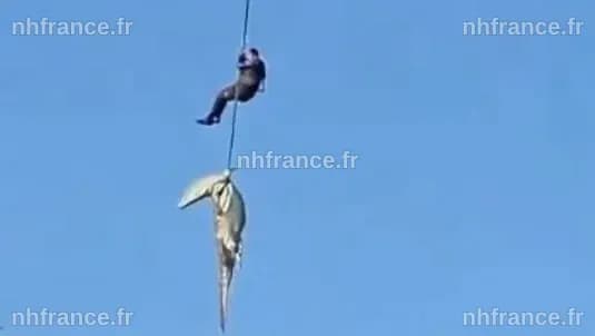 Un policier descendu dans une rivière infestée de crocodiles pour récupérer des restes humains