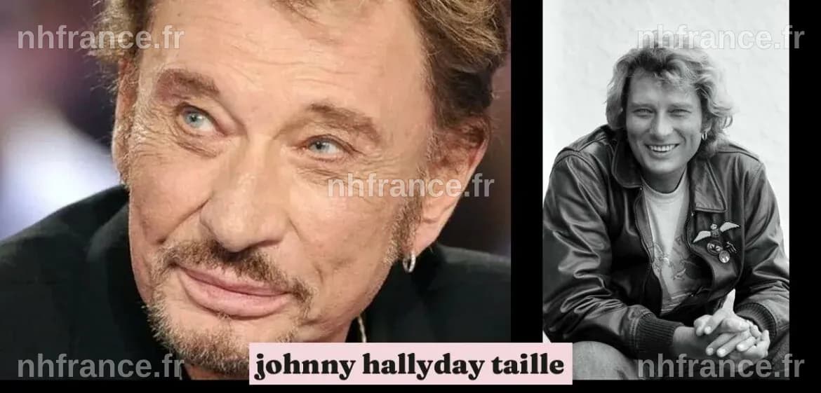 Johnny Hallyday en concert