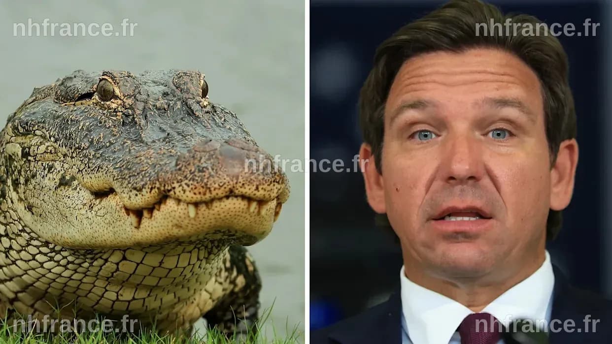 DeSantis évoque la possible fermeture de l'‘Alcatraz des Alligators’ en Floride
