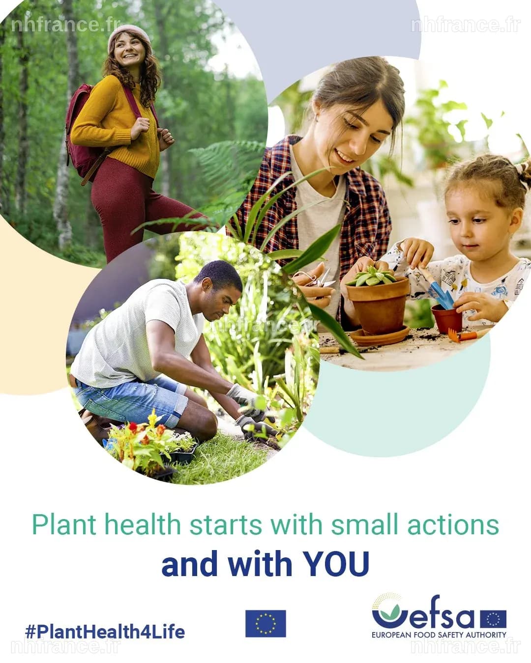 Santé des Plantes : Adoptez des Gestes Simples pour les Protéger