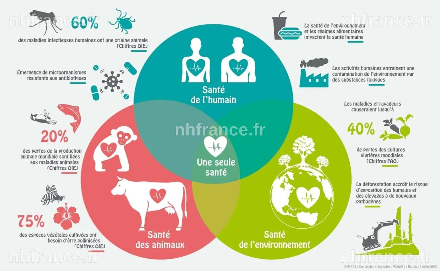Sommet One Health : le leadership français face à ses ambiguïtés