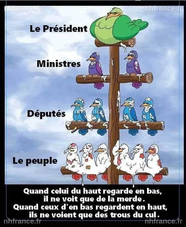 Émission Good Morning Business - Mercredi 13 mai sur BFM