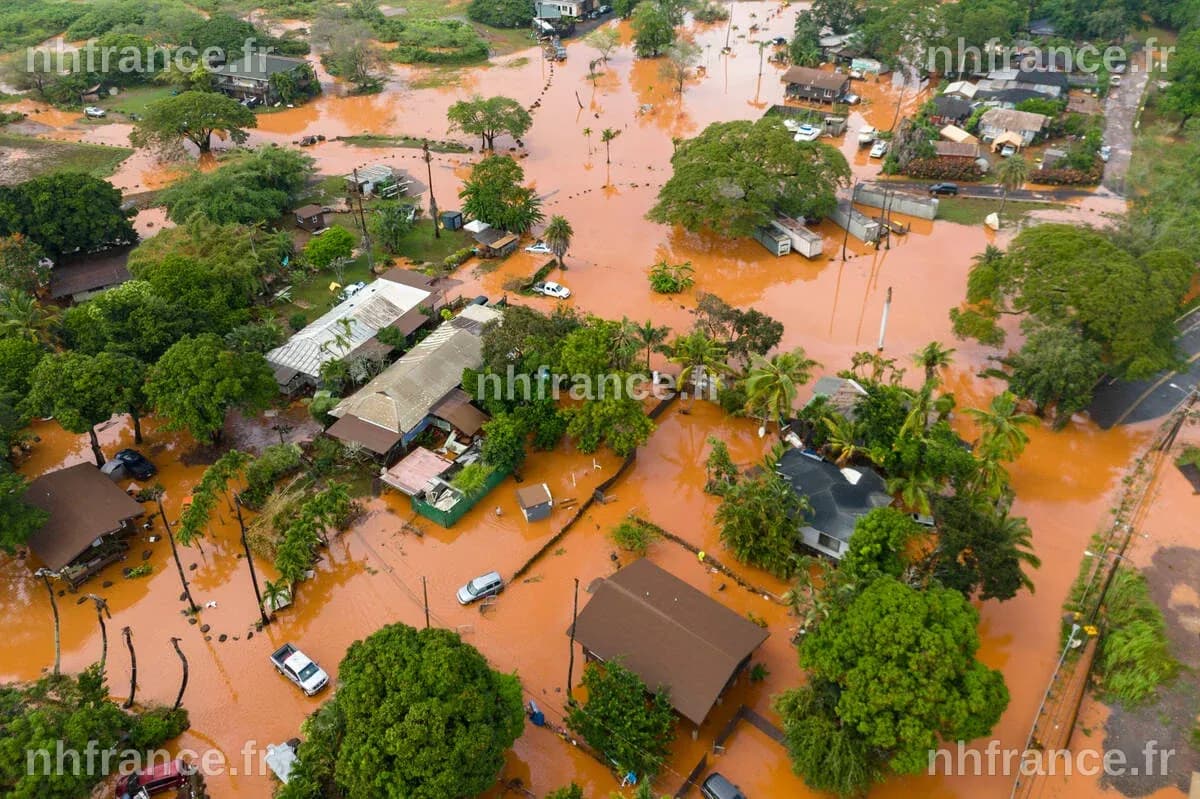 Hawaii’s worst flooding in 20 years leaves farmers struggling and fewer veggies at the market